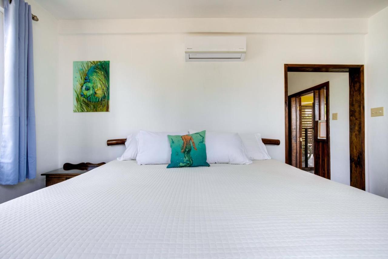Driftwood Gardens Guesthouse Placencia Exteriér fotografie