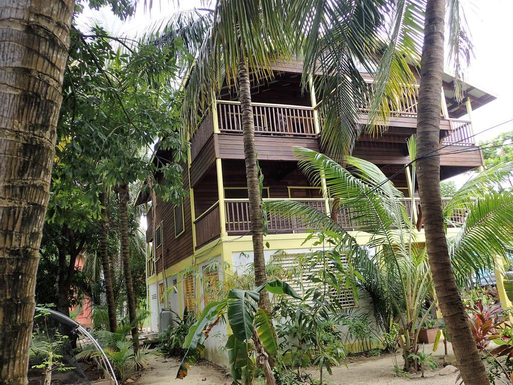 Driftwood Gardens Guesthouse Placencia Exteriér fotografie